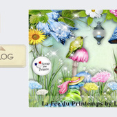 Simplette Scrap and Design