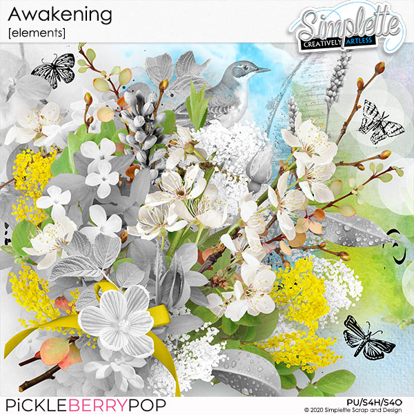 Awakening (collection by Simplette)