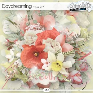 Simplette_DayDreaming_KIT_PV