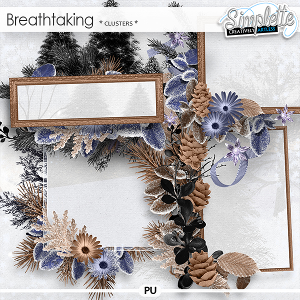Simplette_BreathTaking_Clusters_PV
