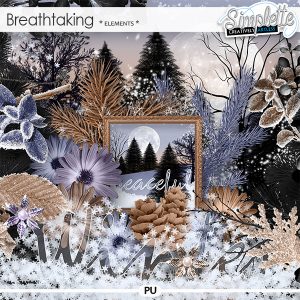 Read more about the article “Breathtaking” a majestic collection
