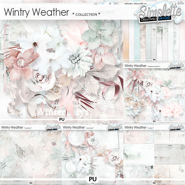 digiscrapbooking_Simplette_WintryWeather_elements_PV