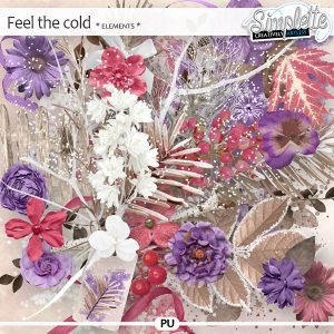 Read more about the article Gifts, promotion and digiscrap collection